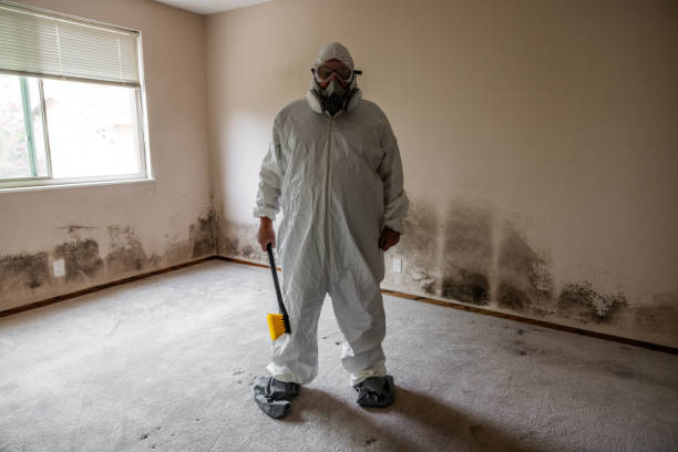 Best Crawl Space Mold Removal  in San Carlos, AZ